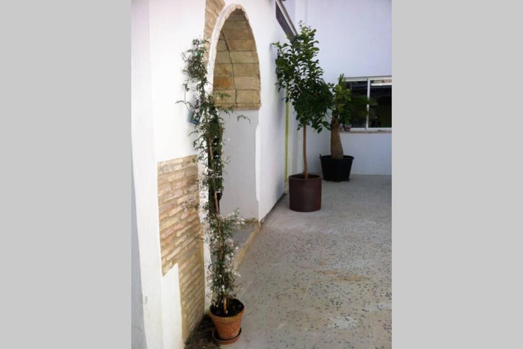 Casa Florinda #7 Apartment Jerez de la Frontera Ngoại thất bức ảnh